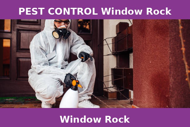 PEST CONTROL Window Rock